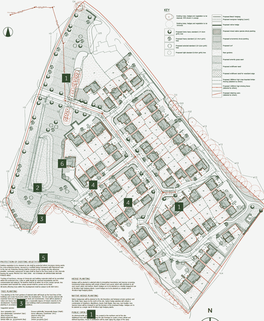 Middlesborough_layout3.png