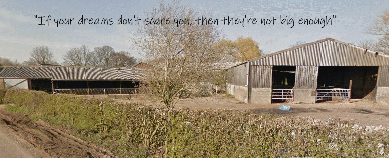class_Q_blog_Yew_Tree_Farm_story.png