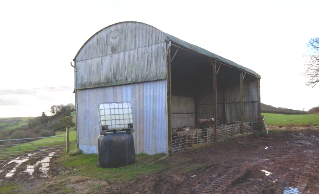 class_Q_blog_first_barn_BRIGHTER.png